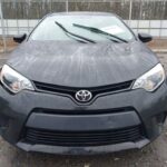 SAVE_20260325_061405